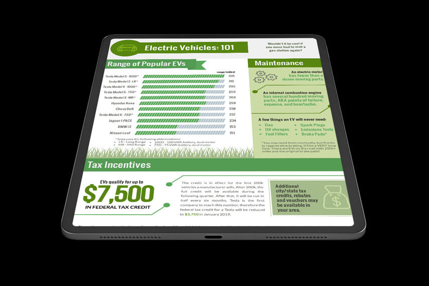 EVs 101 Infographic