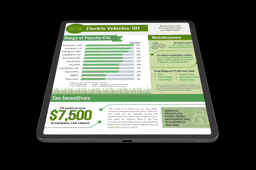 Electric Vehicles Infographic